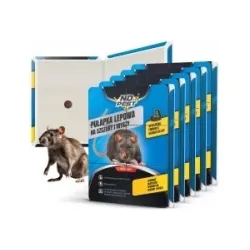 5× grote No Pest lijmval voor ratten, muizen en knaagdieren 40 × 25 cm